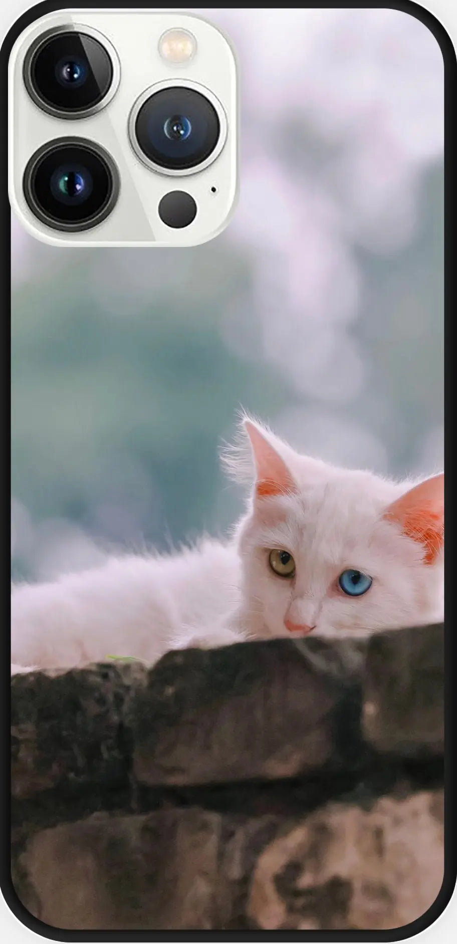 Designed phone cases Cat series 01 Sunday's Creative