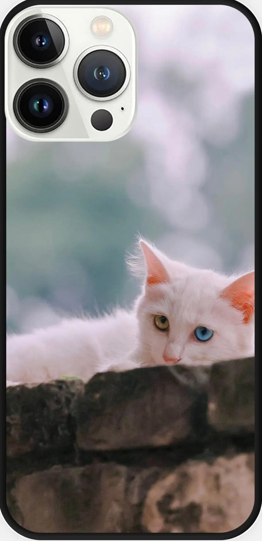 Designed phone cases Cat series 01 Sunday's Creative