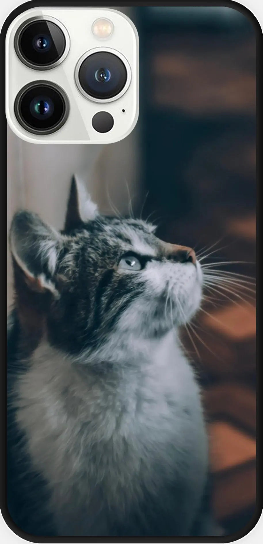 Designed phone cases Cat series 02 Sunday's Creative