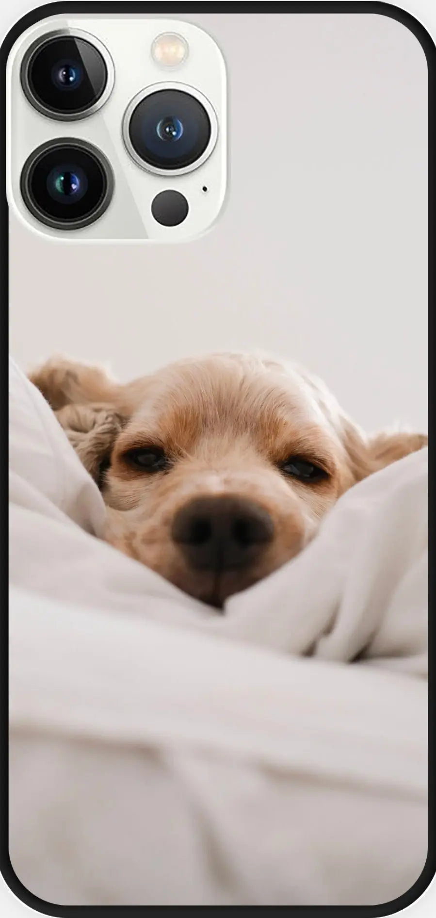 Designed phone cases Dog series 02 Sunday's Creative