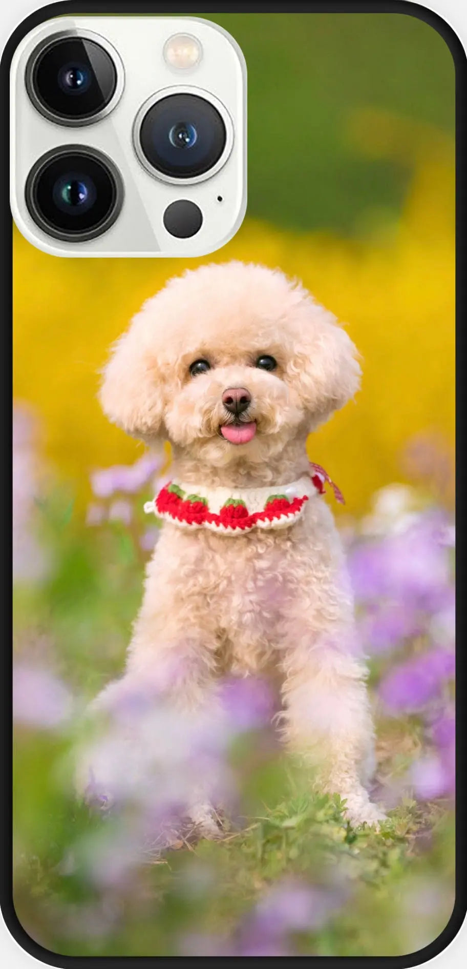 Designed phone cases Dog series 03 Sunday's Creative