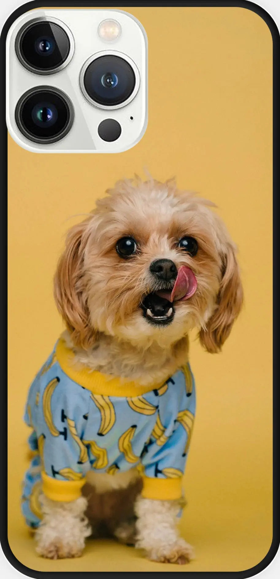 Designed phone cases Dog series 04 Sunday's Creative