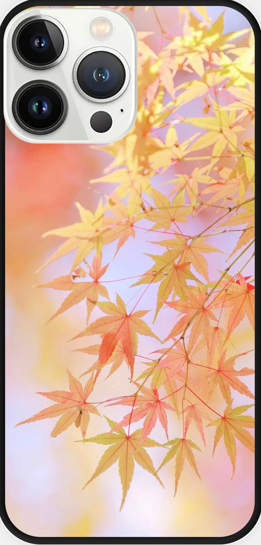 Designed phone cases Maple series Sunday's Creative