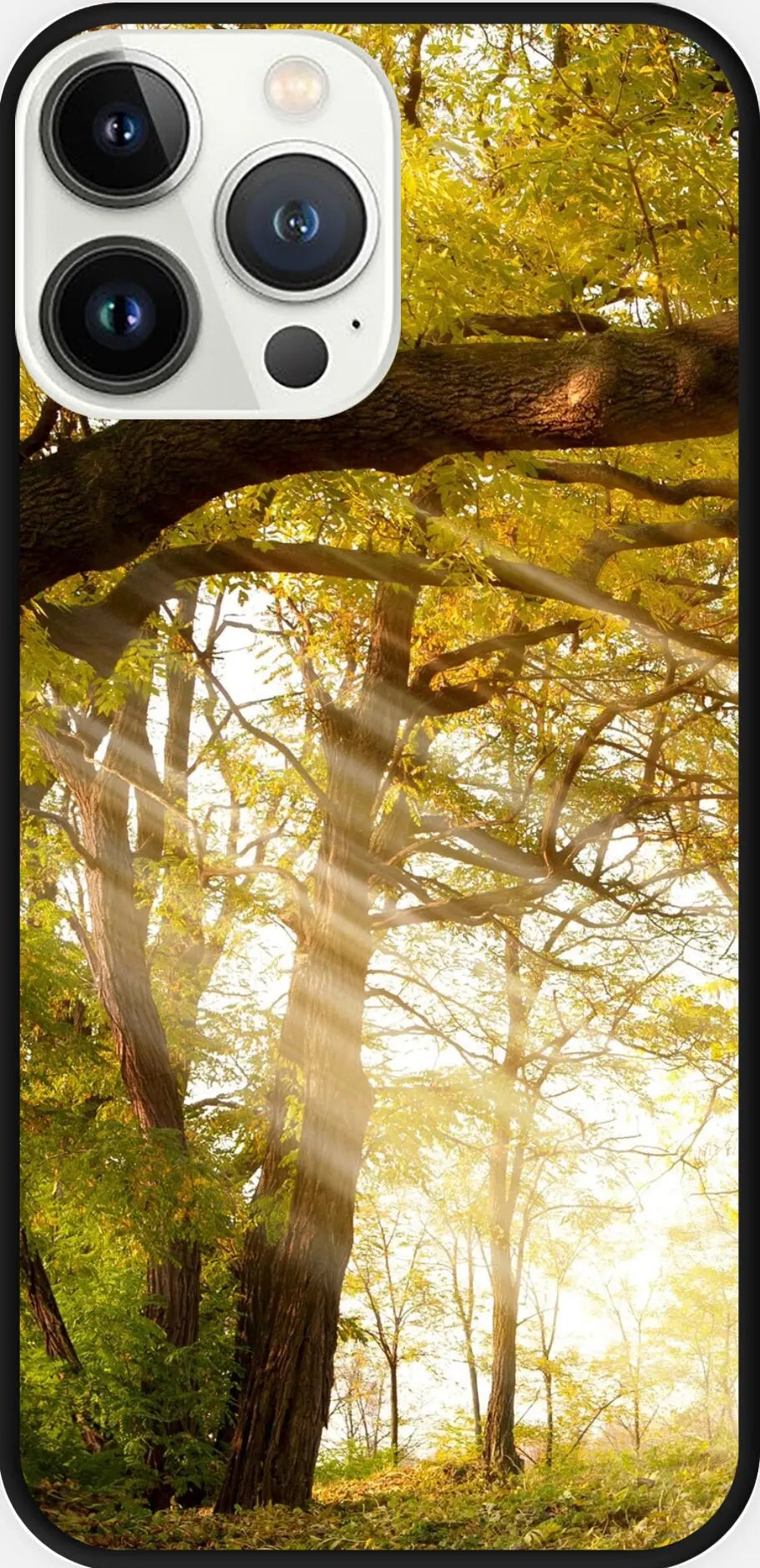 Designed phone cases Forest series 02 Sunday's Creative