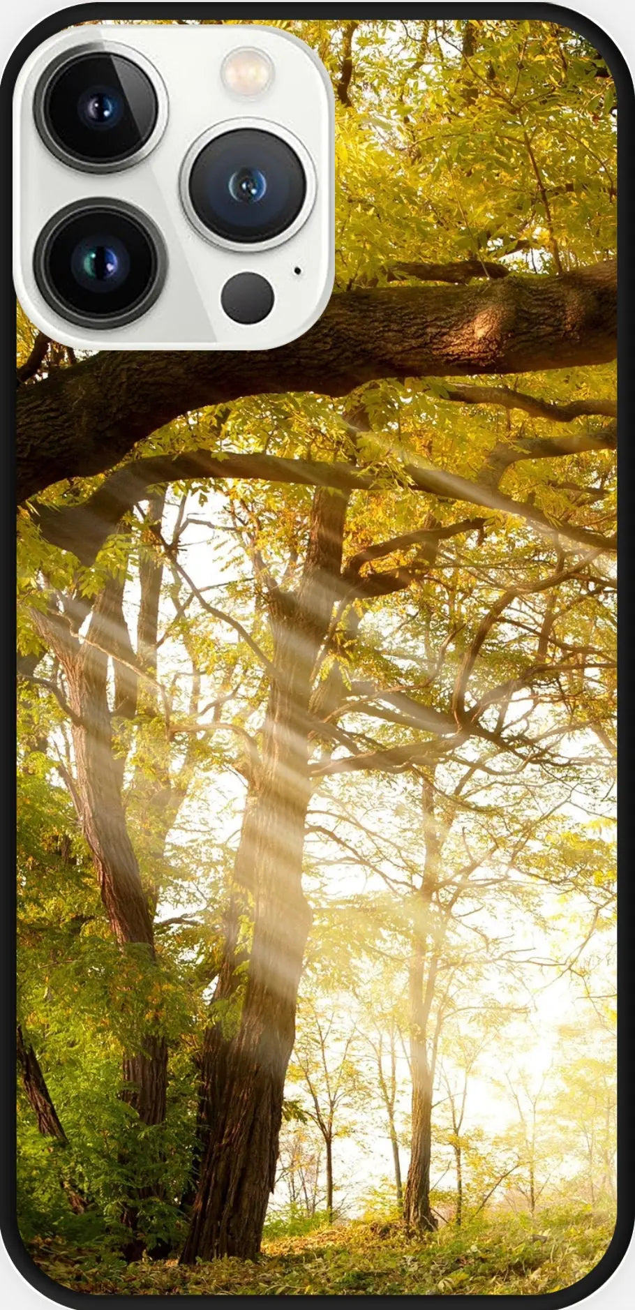 Designed phone cases Forest series 02 Sunday's Creative