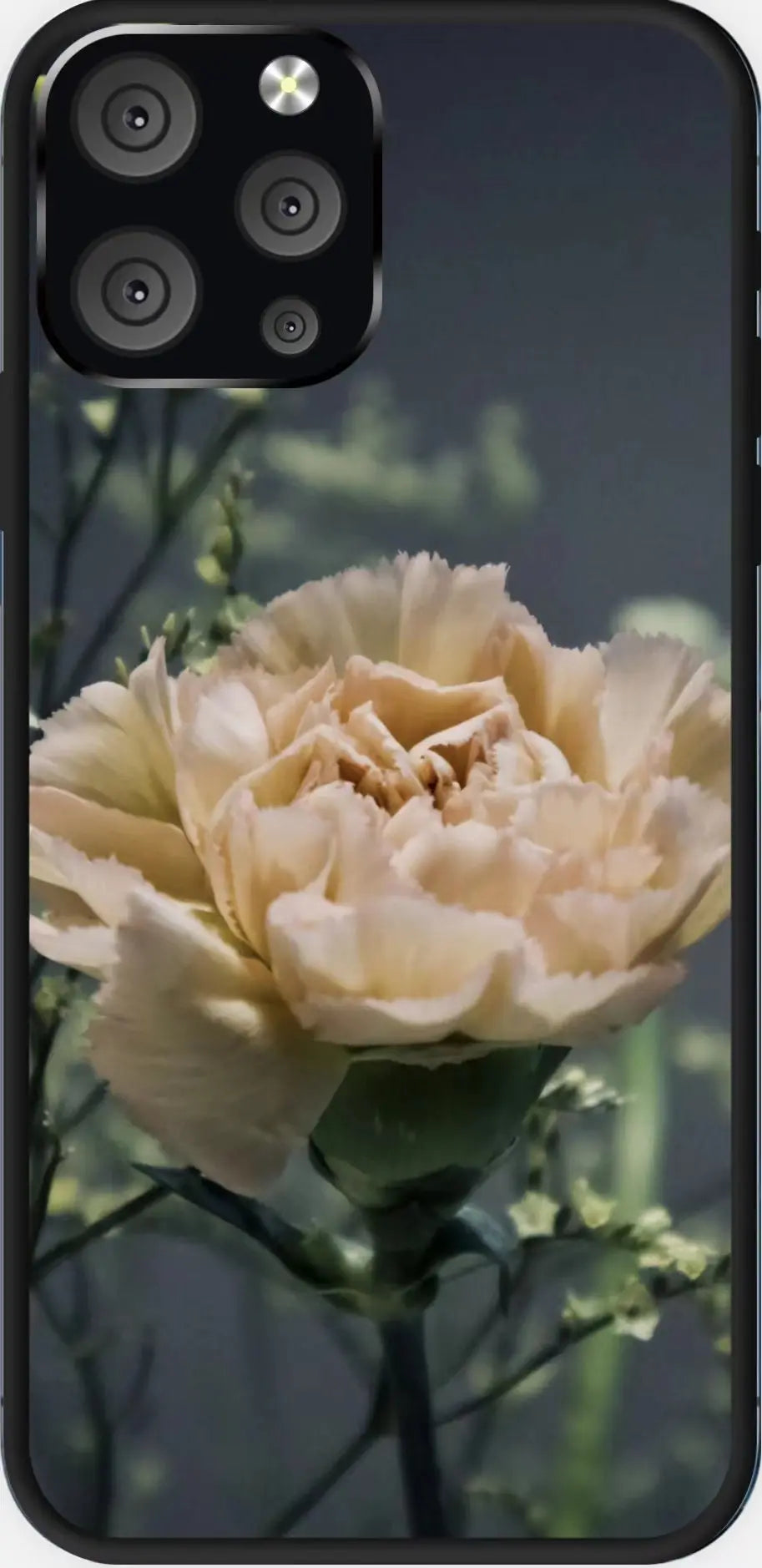 Designed phone cases Carnation series Sunday's Creative