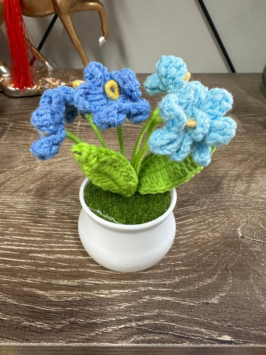 Blue Forget-Me-Not hand Crochet Woolen knitting flower pot Sunday's Creative