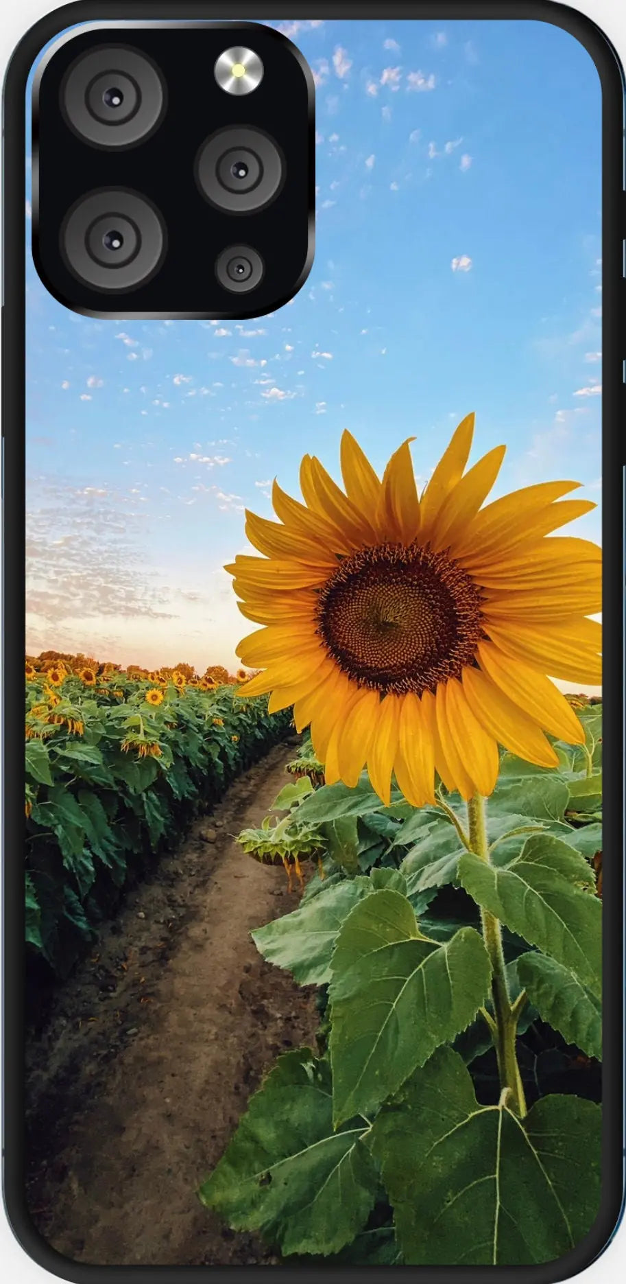 Designed phone cases Sunflowers series Sunday's Creative
